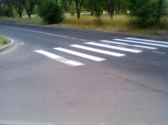 В Волжском появилась «зебра» в никуда
