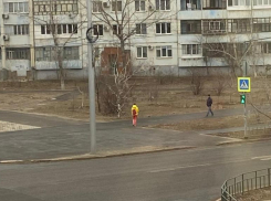 Сделай день ярче! Редакция «Блокнот Волжский» запускает флешмоб для любителей цветной одежды