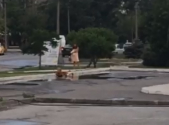 Волжская школьница попала в объектив во время купания в луже