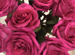 «Жертва» амура похитил 25 роз для любимой в Волгограде