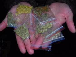 Волжанам через Интернет активно предлагают заниматься раскладкой спайса