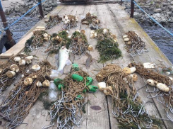 Из Волги подняли снасти для массового вылова осетровых