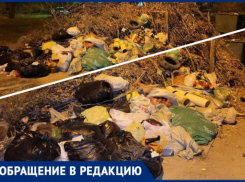 «Отвратительно»: в Волжском жалуются на свалку посреди города