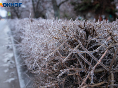 Снегопад и холода до -20: в Волжский пришли аномальные морозы
