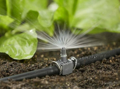 Система полива - незаменимый атрибут дачного участка