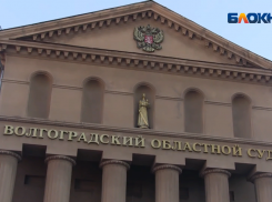 Волгоградский областной суд рассмотрел апелляцию многодетного отца из Волжского