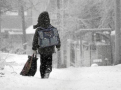 10 маленьких волжан пострадали в ДТП 