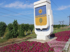 В Волжском появятся самые красивые цветочные клумбы