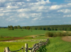 Житель Быково «зажадничал» зарплаты на сто шестьдесят тысяч рублей