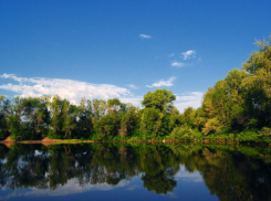 Безработный житель Ленинска занимался браконьерством в Волго-Ахтубинской пойме