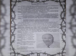 Травля будущих кандидатов в депутаты облдумы в Волжском продолжается