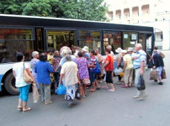 Волжане оценили уровень развития транспортной системы на твердую пятерку из десяти