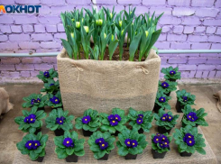 День потребует холодной головы и ясного взгляда: гороскоп на 28 февраля