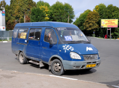 Водители маршруток №174 пойдут под суд за игнорирование постановления об «обрезании»