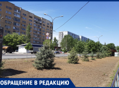 «Радует, что мэр Игорь Воронин занимается городом», - волжанка