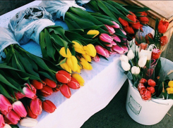 Два протокола составили нелегальным торговцам цветов