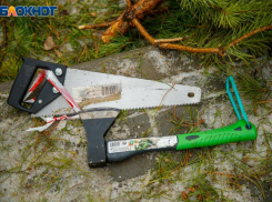 Волжане могут принять участие в экологической акции 