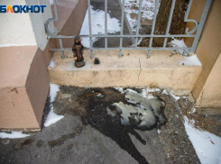 Неизвестные помочились на скульптуру суслика, олицетворяющую первостроителей Волжского 