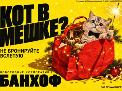 Не бронируйте новогодний корпоратив, пока не прочитаете это!