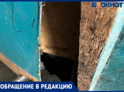 В Волжском комары заполонили подъезд, а местное УК никак не реагирует
