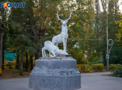 Нельзя стричь волосы в Аринин день: предостерегает волжская травница
