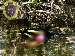 В Волжском водитель гидроцикла погиб после столкновения с препятствием