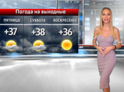 Катя Американо рассказала о погоде в Волжском в День физкультурника