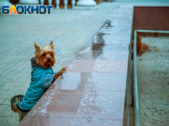 Морозный четверг ожидает жителей Волжского: прогноз погоды