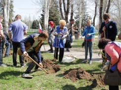 В Волжском высадили «сирень Победы»