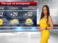 Поваляться на траве смогут волжане в теплые, но облачные выходные