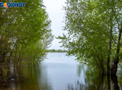 Жара до +25 ждет волжан в субботу: прогноз погоды