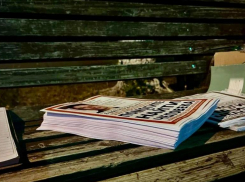 Большинство волжан следили за тем, как проходят поиски директора кукольного театра