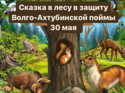 Для волжан пройдет сказка в защиту Волго-Ахтубинской поймы