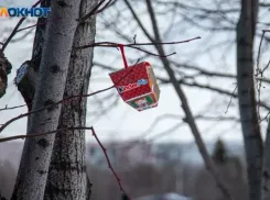 Все еще не ниже 10 градусов: погода на понедельник