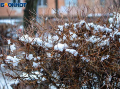 Заморозки до -6 прогнозируют синоптики в Волгоградской области