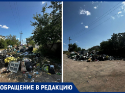 СНТ Строитель тонет в мусоре: дачники бьют тревогу из-за невывоза отходов и стихийной свалки