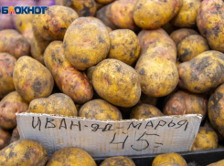 В Волжском в сезон подорожал картофель