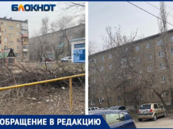 В Волжском срубили хорошие деревья, а аварийные оставили