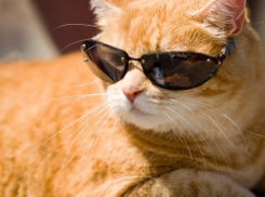 Синоптики сообщили о похолодании в Волжском