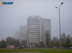 Лишь 2% волжан считают, что туалеты для посетителей не обязательно делать в каждом магазине