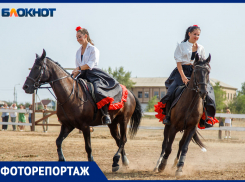 Сноровка, ловкость и чудеса дрессировки: конноспортивный клуб продемонстрировал мастерство на фестивале в Волжском