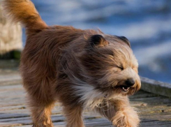 Лето-2018 начало: волжан расстроит сильный ветер