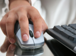 Волжане будут сообщать по Интернету о намерении снести деревья