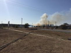 Сухая трава вспыхнула в Волжском напротив завода «Кока-колы»