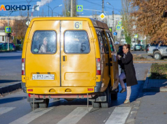 Большинство волжан считают, что властям выгодно лишить жителей маршруток