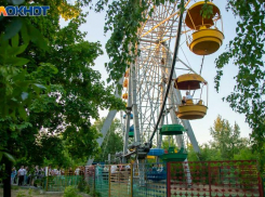 В Волжском обрабатывают зеленые насаждения от заболеваний и вредителей