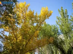 Как в пятницу привлечь любовь и финансы: приметы на 25 октября 