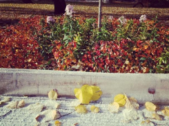 Волжане «разобрали» себе времена года