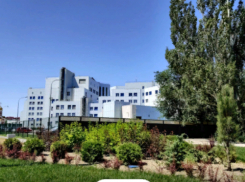 В Волжском на медосмотр сотрудников филиала трансплантологии выделили больше 500 тысяч рублей