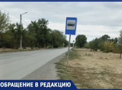 «Стоишь по колено в траве»: волжанка пожаловалась на остановку на острове Зеленый